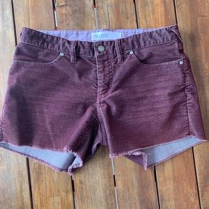 Carve Designs Oahu Shorts 4”
